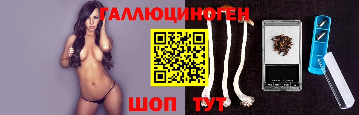 Галлюциногенные грибы прущие грибы  Вход с VPN  Сызрань  Псилоцибиновые грибы Psilocybine cubensis 