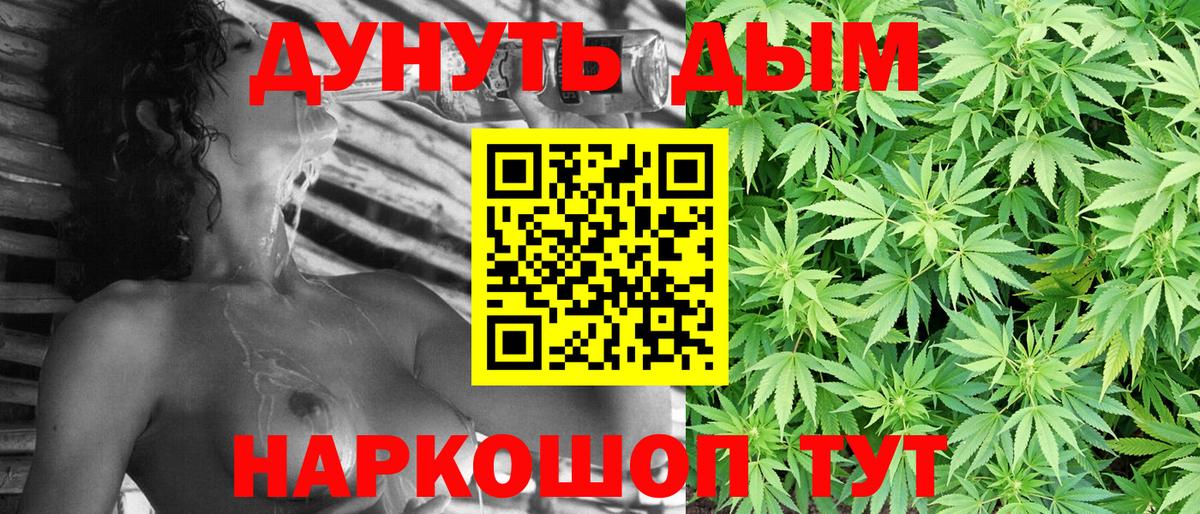Сызрань  Каннабис планчик  Вход с VPN  Канабис сатива 